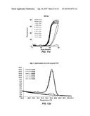 EXTREME PCR diagram and image