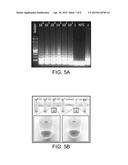 SELF-CONTAINED CARTRIDGE AND METHODS FOR INTEGRATED BIOCHEMICAL ASSAY AT     THE POINT-OF-CARE diagram and image