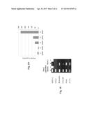 RETINAL PIGMENT EPITHELIAL CELLS DIFFERENTIATED FROM EMBRYONIC STEM CELLS     WITH NICOTINAMIDE AND ACTIVIN A diagram and image