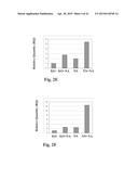 RETINAL PIGMENT EPITHELIAL CELLS DIFFERENTIATED FROM EMBRYONIC STEM CELLS     WITH NICOTINAMIDE AND ACTIVIN A diagram and image