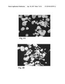 RETINAL PIGMENT EPITHELIAL CELLS DIFFERENTIATED FROM EMBRYONIC STEM CELLS     WITH NICOTINAMIDE AND ACTIVIN A diagram and image