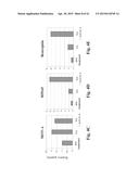 RETINAL PIGMENT EPITHELIAL CELLS DIFFERENTIATED FROM EMBRYONIC STEM CELLS     WITH NICOTINAMIDE AND ACTIVIN A diagram and image