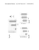 RETINAL PIGMENT EPITHELIAL CELLS DIFFERENTIATED FROM EMBRYONIC STEM CELLS     WITH NICOTINAMIDE AND ACTIVIN A diagram and image