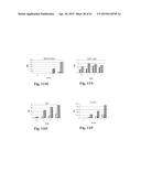 RETINAL PIGMENT EPITHELIAL CELLS DIFFERENTIATED FROM EMBRYONIC STEM CELLS     WITH NICOTINAMIDE AND ACTIVIN A diagram and image