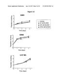 INHIBITION OF COLONY STIMULATING FACTOR-1 RECEPTOR SIGNALING FOR THE     TREATMENT OF BRAIN CANCER diagram and image