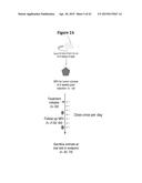 INHIBITION OF COLONY STIMULATING FACTOR-1 RECEPTOR SIGNALING FOR THE     TREATMENT OF BRAIN CANCER diagram and image