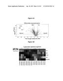 INHIBITION OF COLONY STIMULATING FACTOR-1 RECEPTOR SIGNALING FOR THE     TREATMENT OF BRAIN CANCER diagram and image