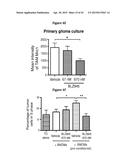 INHIBITION OF COLONY STIMULATING FACTOR-1 RECEPTOR SIGNALING FOR THE     TREATMENT OF BRAIN CANCER diagram and image