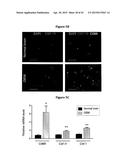 INHIBITION OF COLONY STIMULATING FACTOR-1 RECEPTOR SIGNALING FOR THE     TREATMENT OF BRAIN CANCER diagram and image