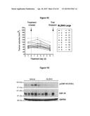 INHIBITION OF COLONY STIMULATING FACTOR-1 RECEPTOR SIGNALING FOR THE     TREATMENT OF BRAIN CANCER diagram and image
