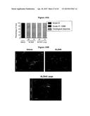 INHIBITION OF COLONY STIMULATING FACTOR-1 RECEPTOR SIGNALING FOR THE     TREATMENT OF BRAIN CANCER diagram and image