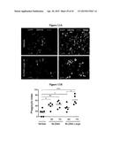 INHIBITION OF COLONY STIMULATING FACTOR-1 RECEPTOR SIGNALING FOR THE     TREATMENT OF BRAIN CANCER diagram and image