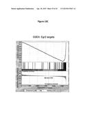 INHIBITION OF COLONY STIMULATING FACTOR-1 RECEPTOR SIGNALING FOR THE     TREATMENT OF BRAIN CANCER diagram and image