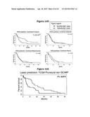 INHIBITION OF COLONY STIMULATING FACTOR-1 RECEPTOR SIGNALING FOR THE     TREATMENT OF BRAIN CANCER diagram and image