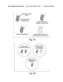 SYNTHETIC POLYPEPTIDE LIBRARIES AND METHODS FOR GENERATING NATURALLY     DIVERSIFIED POLYPEPTIDE VARIANTS diagram and image