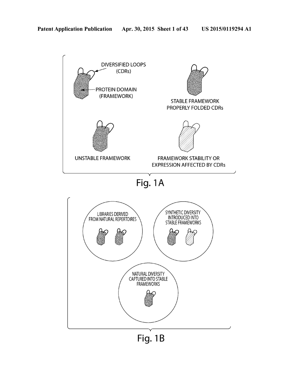 SYNTHETIC POLYPEPTIDE LIBRARIES AND METHODS FOR GENERATING NATURALLY     DIVERSIFIED POLYPEPTIDE VARIANTS - diagram, schematic, and image 02