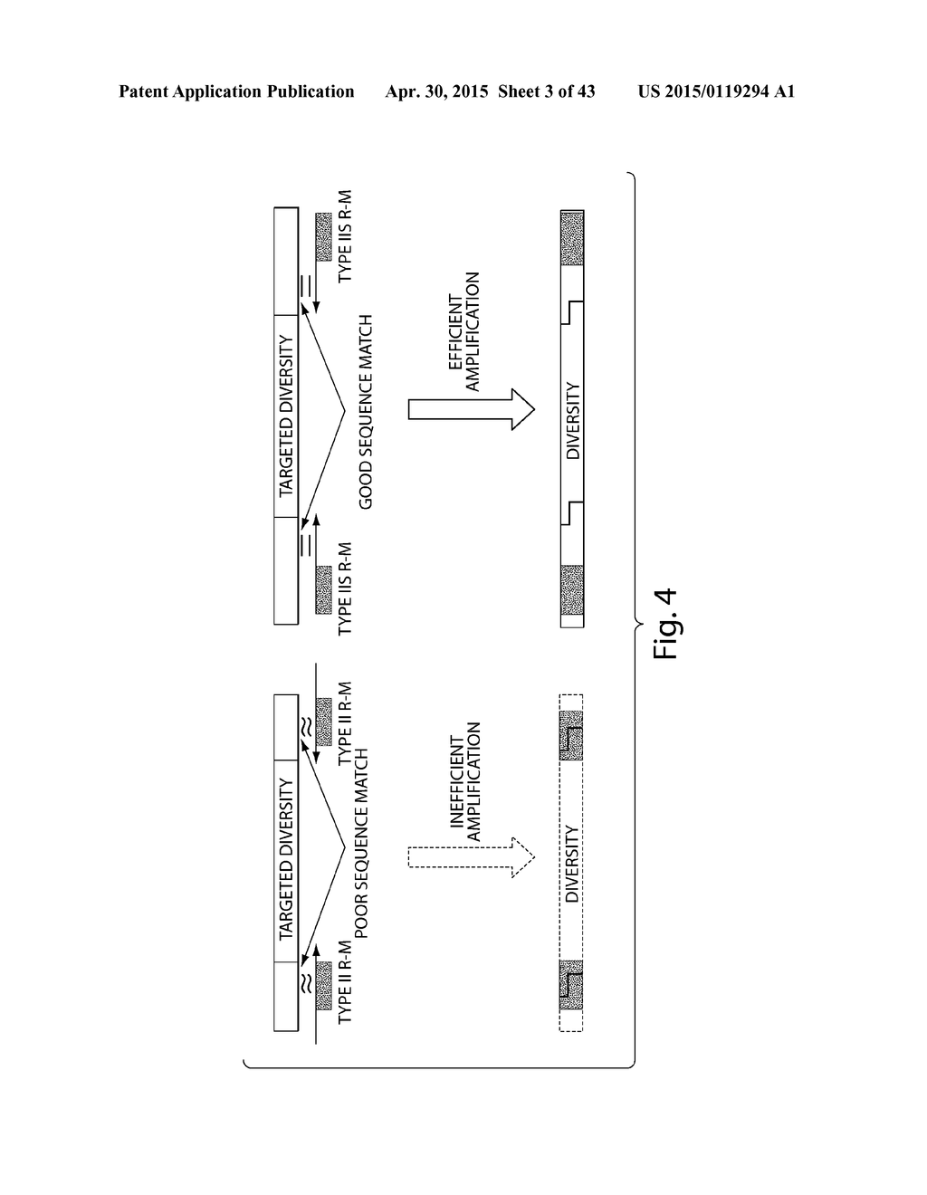 SYNTHETIC POLYPEPTIDE LIBRARIES AND METHODS FOR GENERATING NATURALLY     DIVERSIFIED POLYPEPTIDE VARIANTS - diagram, schematic, and image 04