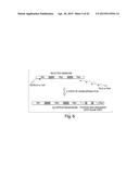 SYNTHETIC POLYPEPTIDE LIBRARIES AND METHODS FOR GENERATING NATURALLY     DIVERSIFIED POLYPEPTIDE VARIANTS diagram and image