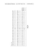 SYNTHETIC POLYPEPTIDE LIBRARIES AND METHODS FOR GENERATING NATURALLY     DIVERSIFIED POLYPEPTIDE VARIANTS diagram and image