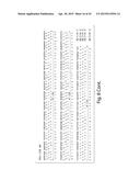 SYNTHETIC POLYPEPTIDE LIBRARIES AND METHODS FOR GENERATING NATURALLY     DIVERSIFIED POLYPEPTIDE VARIANTS diagram and image