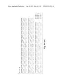 SYNTHETIC POLYPEPTIDE LIBRARIES AND METHODS FOR GENERATING NATURALLY     DIVERSIFIED POLYPEPTIDE VARIANTS diagram and image