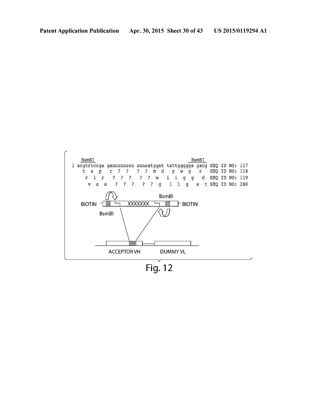 SYNTHETIC POLYPEPTIDE LIBRARIES AND METHODS FOR GENERATING NATURALLY     DIVERSIFIED POLYPEPTIDE VARIANTS - diagram, schematic, and image 31