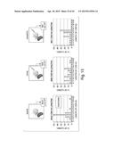 SYNTHETIC POLYPEPTIDE LIBRARIES AND METHODS FOR GENERATING NATURALLY     DIVERSIFIED POLYPEPTIDE VARIANTS diagram and image