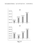 SYNTHETIC POLYPEPTIDE LIBRARIES AND METHODS FOR GENERATING NATURALLY     DIVERSIFIED POLYPEPTIDE VARIANTS diagram and image