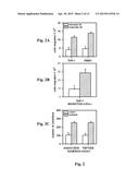 ADMINISTRATION OF ANGIOCIDIN FOR THE TREATMENT OF CANCER diagram and image