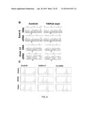 DRUG SCREENING PLATFORM FOR RETT SYNDROME diagram and image