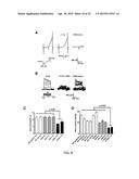 DRUG SCREENING PLATFORM FOR RETT SYNDROME diagram and image