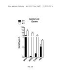 DRUG SCREENING PLATFORM FOR RETT SYNDROME diagram and image