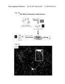 DRUG SCREENING PLATFORM FOR RETT SYNDROME diagram and image