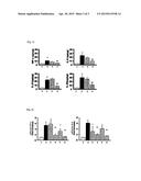 USES OF MODIFIED HUMAN TUMOR NECROSIS FACTOR RECEPTOR-1 POLYPEPTIDE diagram and image