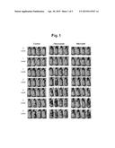 COMPOSITION FOR PREVENTING OR TREATING HAIR LOSS OR PROMOTING HAIR GROWTH     COMPRISING SECOIRIDOID GLUCOSIDE DERIVATIVES diagram and image