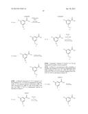 NOVEL ACTIVATORS OF GLUCOKINASE diagram and image