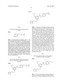 NOVEL ACTIVATORS OF GLUCOKINASE diagram and image