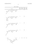 AZETIDINYLOXY-, PYRROLIDINYLOXY-, AND PIPERIDINYLOXY-SUBSTITUTED     METANICOTINES AS NEURONAL NICOTINIC ACETYLCHOLINE RECEPTOR LIGANDS diagram and image