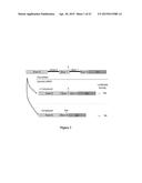 COMPOUNDS FOR TREATING SPINAL MUSCULAR ATROPHY diagram and image