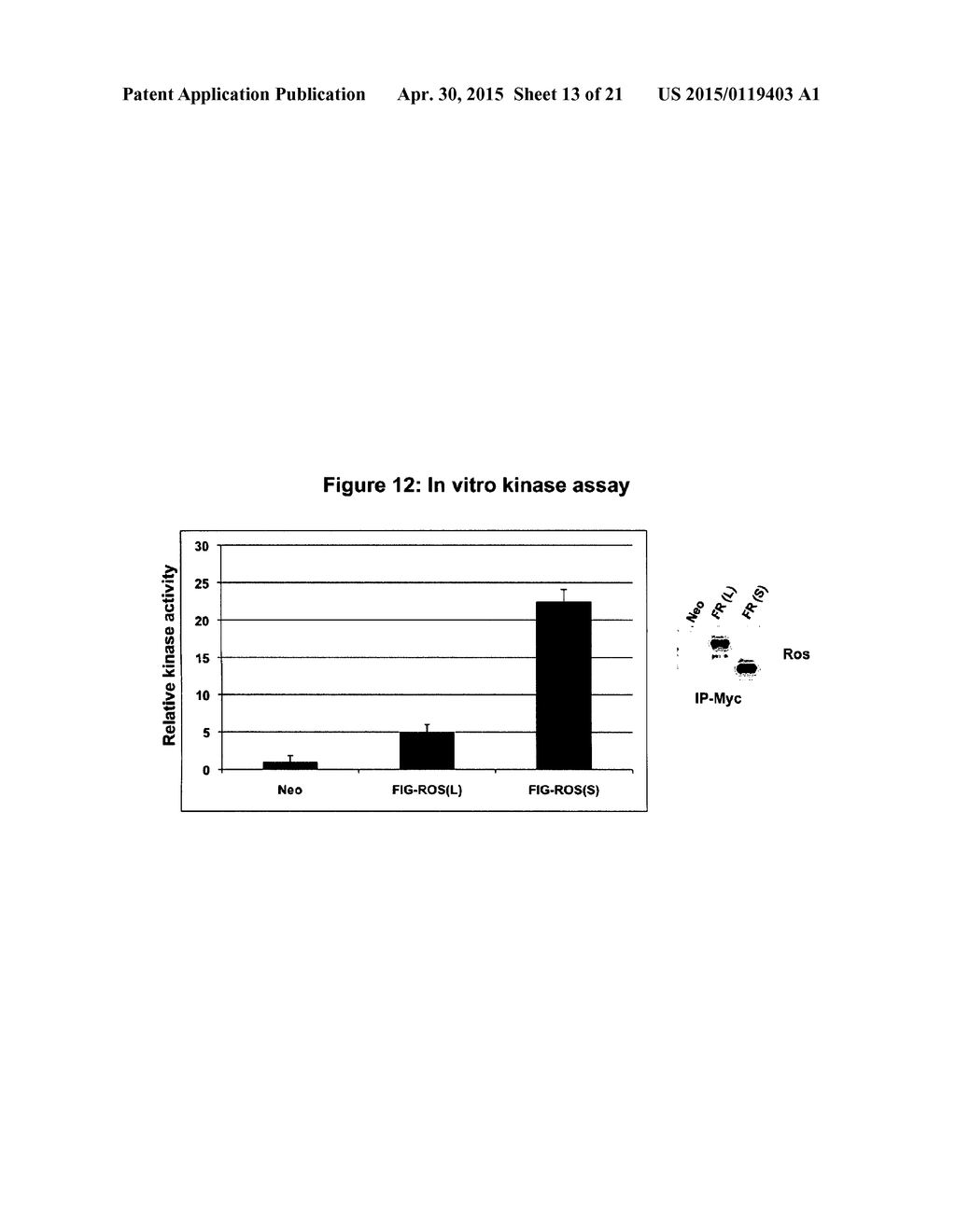 Mutant ROS Expression In Human Cancer - diagram, schematic, and image 14