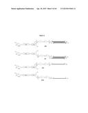 Carbohydrate Conjugates as Delivery Agents for Oligonucleotides diagram and image