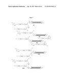 Carbohydrate Conjugates as Delivery Agents for Oligonucleotides diagram and image