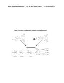 Carbohydrate Conjugates as Delivery Agents for Oligonucleotides diagram and image