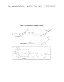 Carbohydrate Conjugates as Delivery Agents for Oligonucleotides diagram and image