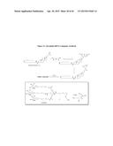 Carbohydrate Conjugates as Delivery Agents for Oligonucleotides diagram and image