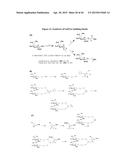 Carbohydrate Conjugates as Delivery Agents for Oligonucleotides diagram and image