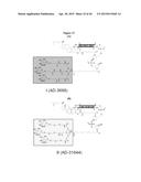 Carbohydrate Conjugates as Delivery Agents for Oligonucleotides diagram and image