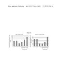 Carbohydrate Conjugates as Delivery Agents for Oligonucleotides diagram and image