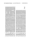 SPIDER SILK FUSION PROTEIN STRUCTURES INCORPORATING IMMUNOGLOBULIN     FRAGMENTS AS AFFINITY LIGANDS diagram and image