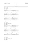 SPIDER SILK FUSION PROTEIN STRUCTURES INCORPORATING IMMUNOGLOBULIN     FRAGMENTS AS AFFINITY LIGANDS diagram and image